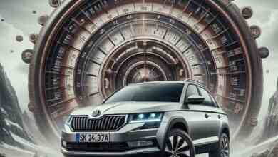 Skoda Octavia Scout lastik basıncı