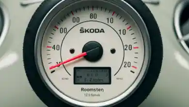 Skoda Roomster lastik basıncı