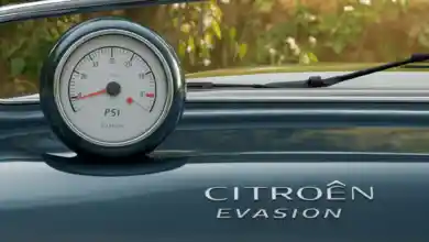 Citroen Evasion lastik basıncı