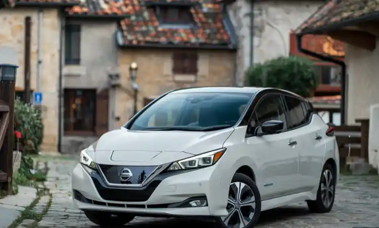 Nissan Leaf lastik hav basıncı