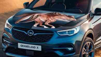 Opel Grandland X lastik basıncı