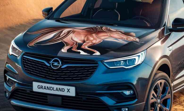 Opel Grandland X lastik basıncı