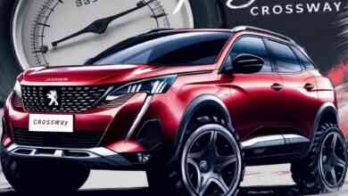 Peugeot 3008 Crossway lastik basıncı