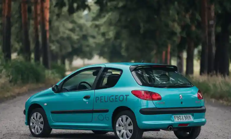 Peugeot 206 lastik hava basıncı