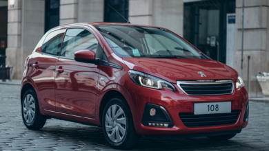 peugeot 108 lastik hava basıncı